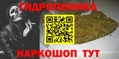 шишки Рузаевка